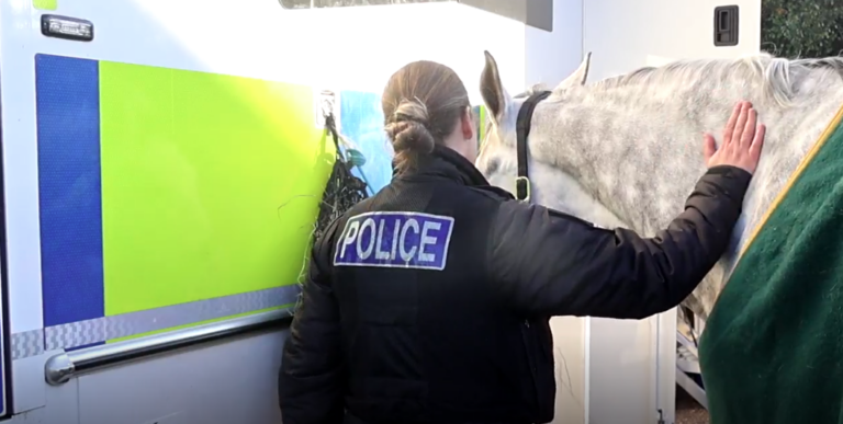 Police and charities launch films to tackle horse road dangers