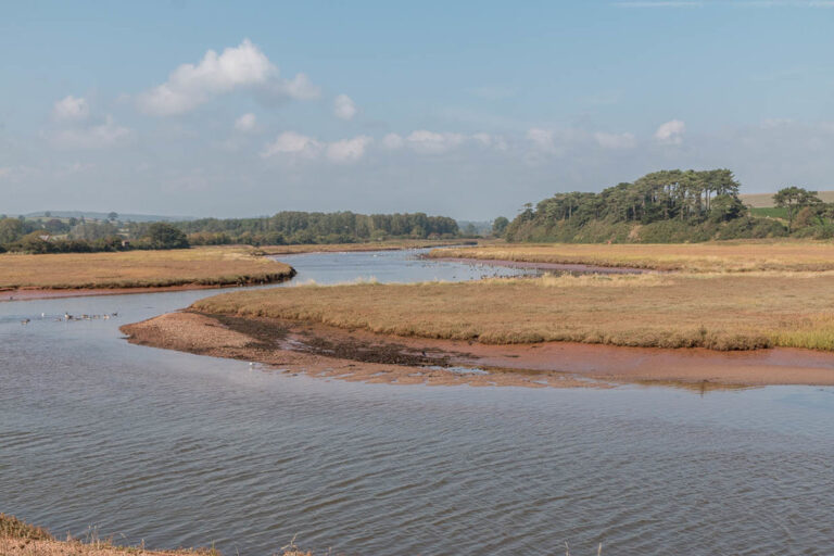 New digital trail lets visitors explore Devon estuary through art