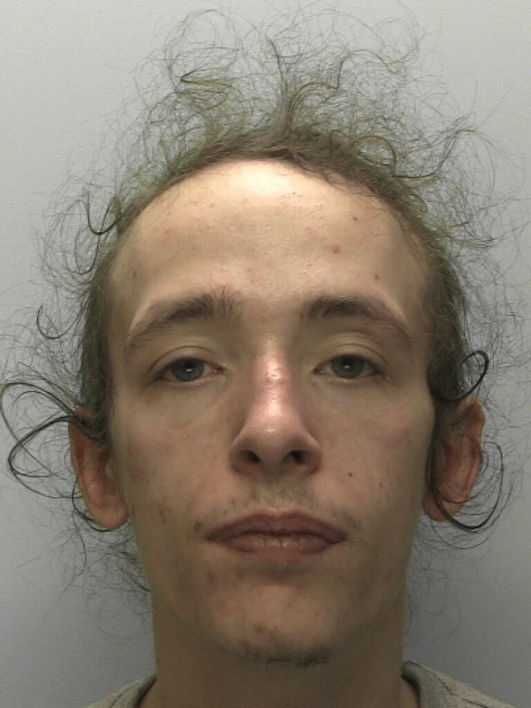Dangerous driver jailed after axe and knife found in car in Torbay