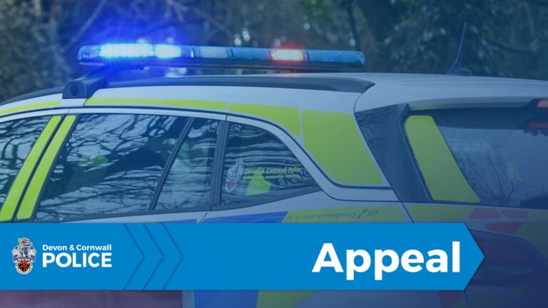 Police appeal to trace witnesses after serious assault in Plymouth