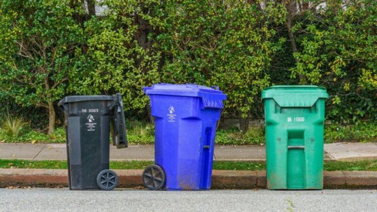 New recycling reforms set to boost recycling rates across Devon