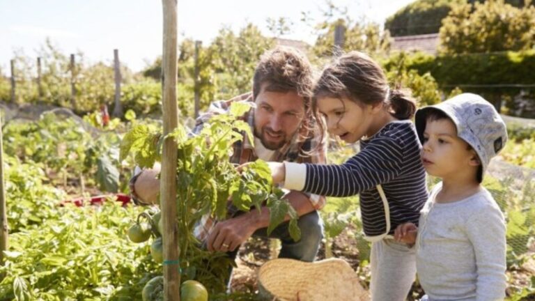 Devon joins new campaign to boost healthy food and local farming