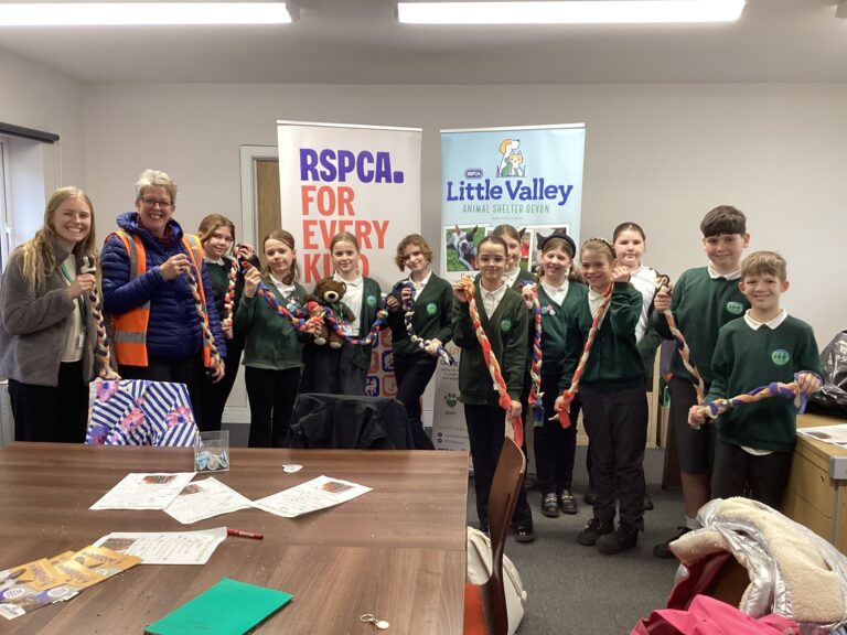 Exeter pupils help rescue animals during shelter visit