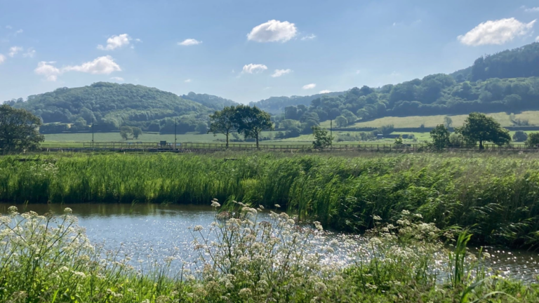 East Devon countryside team launches packed programme of spring events