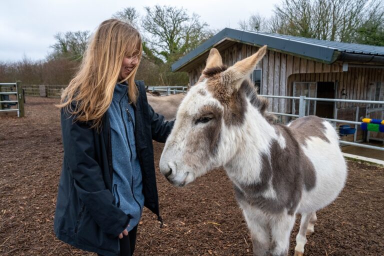 Donkey sanctuary visit reshapes vet students’ views