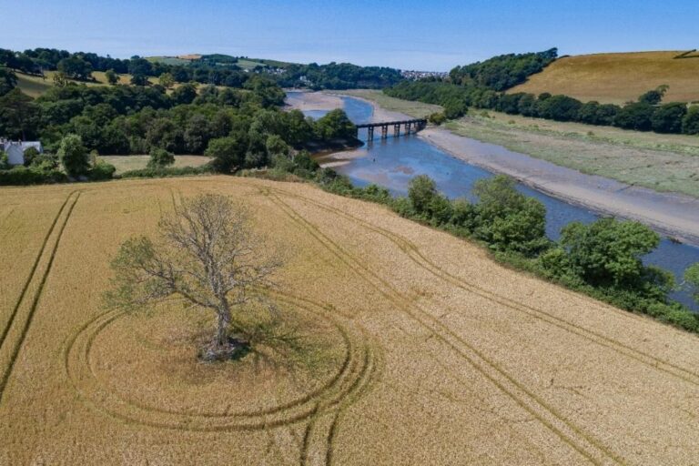 Green goals set as North Devon plots decade of nature recovery