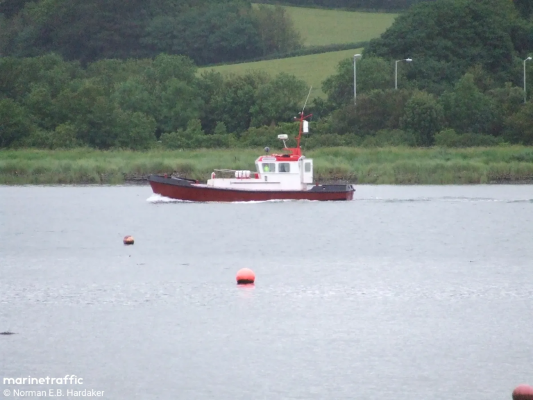 Pilot boat scare sparks safety focus in busy harbour quarter