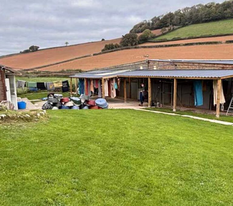Dog boarding site set to grow as 22 new kennels get approval