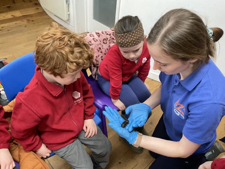 Creepy crawlies and close encounters delight Lamerton pupils at zoo