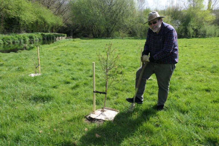 Pink Champagne and Red Panda trees planted across West Devon borough